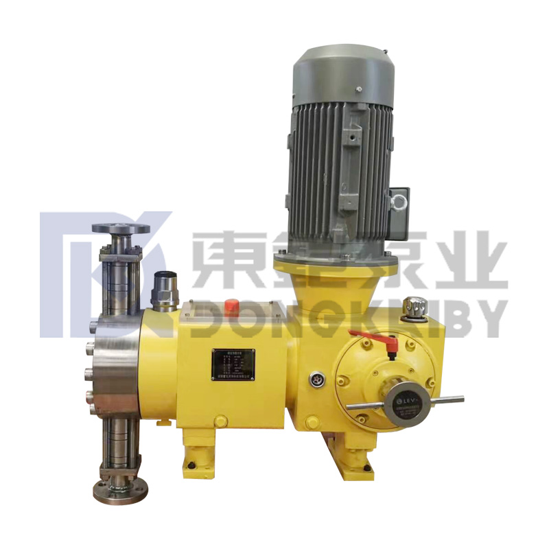 ကုမ္ပဏီ၏ထိပ်တန်းထုတ်ကုန် - metering pump