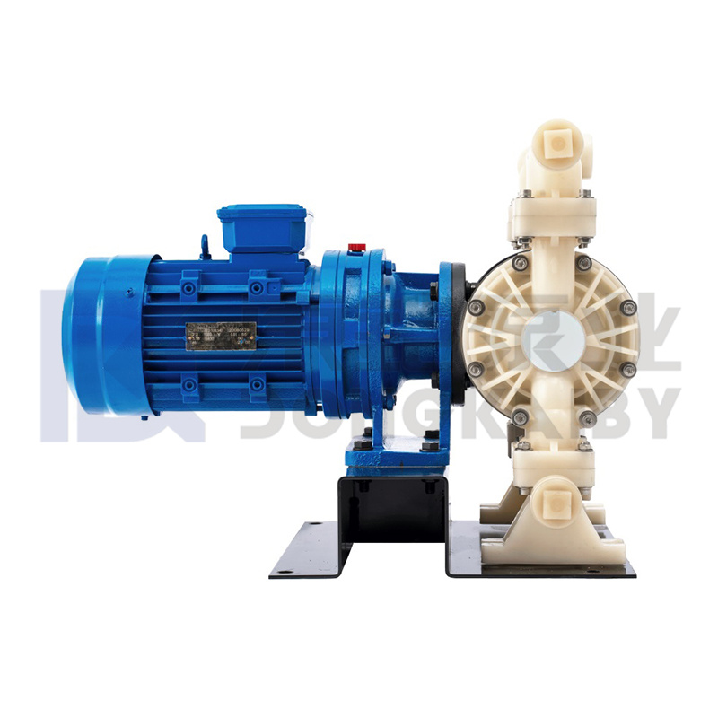 စွမ်းဆောင်ရည်မြင့် ပလတ်စတစ်လျှပ်စစ် Diaphragm Pumps