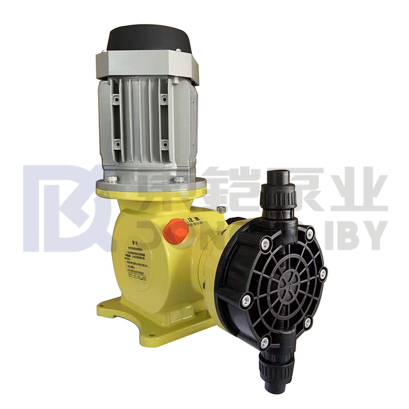 PAM Dosing Pump