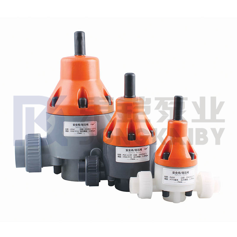 Safety Relief Valve Back Pressure Valve